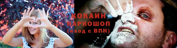 2c-b Надым