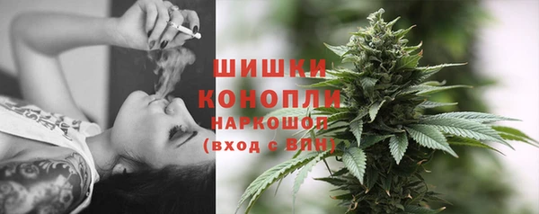 твердый Аша