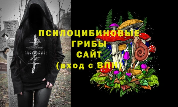 2c-b Надым