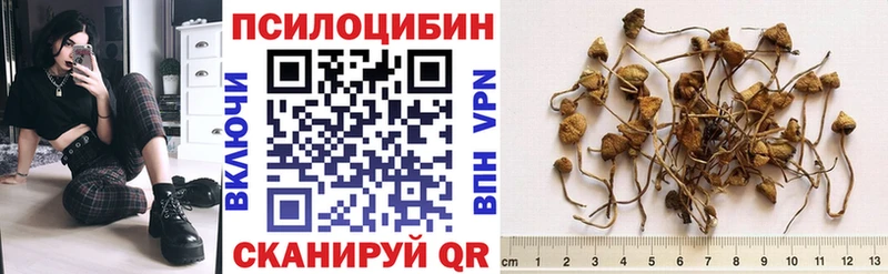 Псилоцибиновые грибы прущие грибы  ссылка на мегу ONION  Кущёвская 